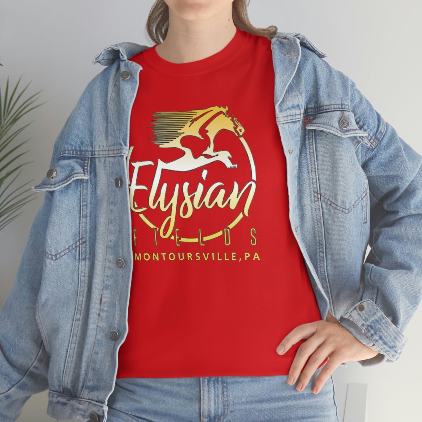 Elysian Fields - Adult Unisex Heavy Cotton Tee
