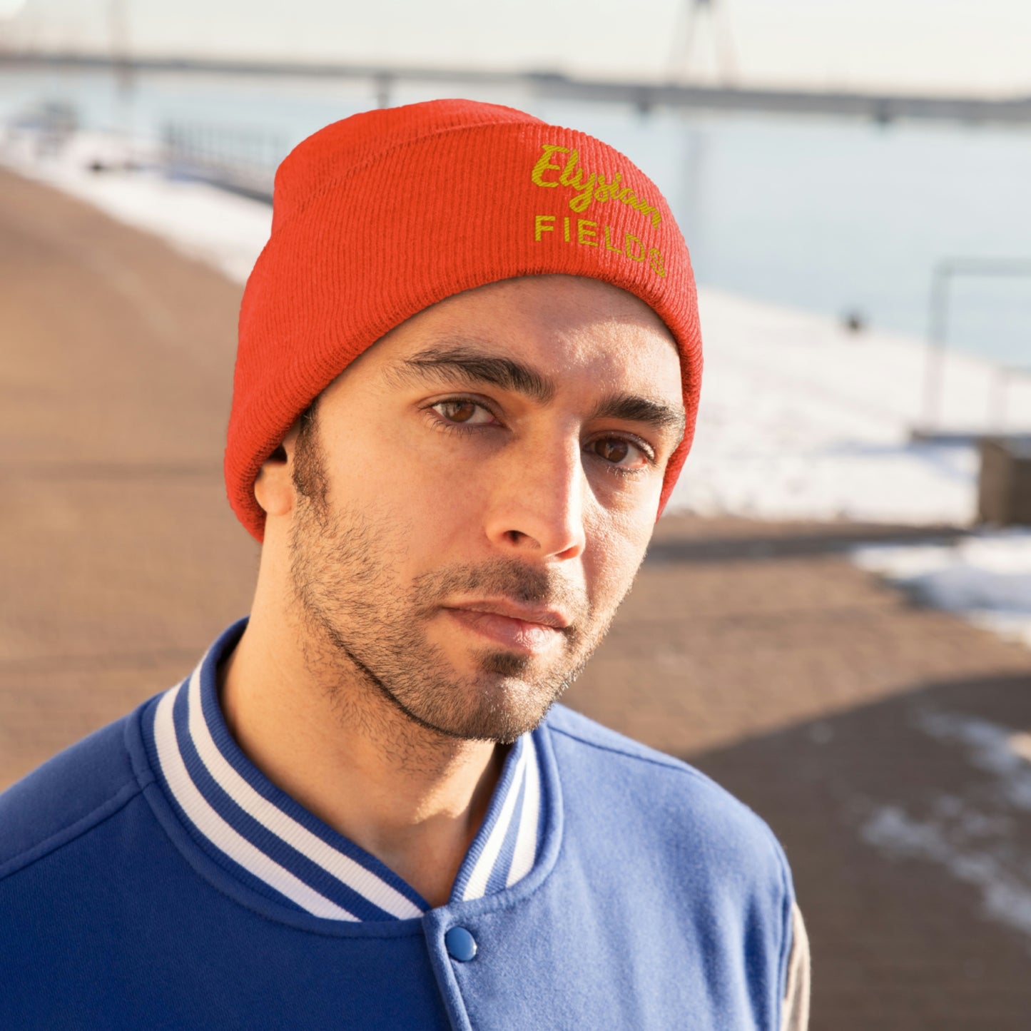 Elysian Fields - Knit Beanie