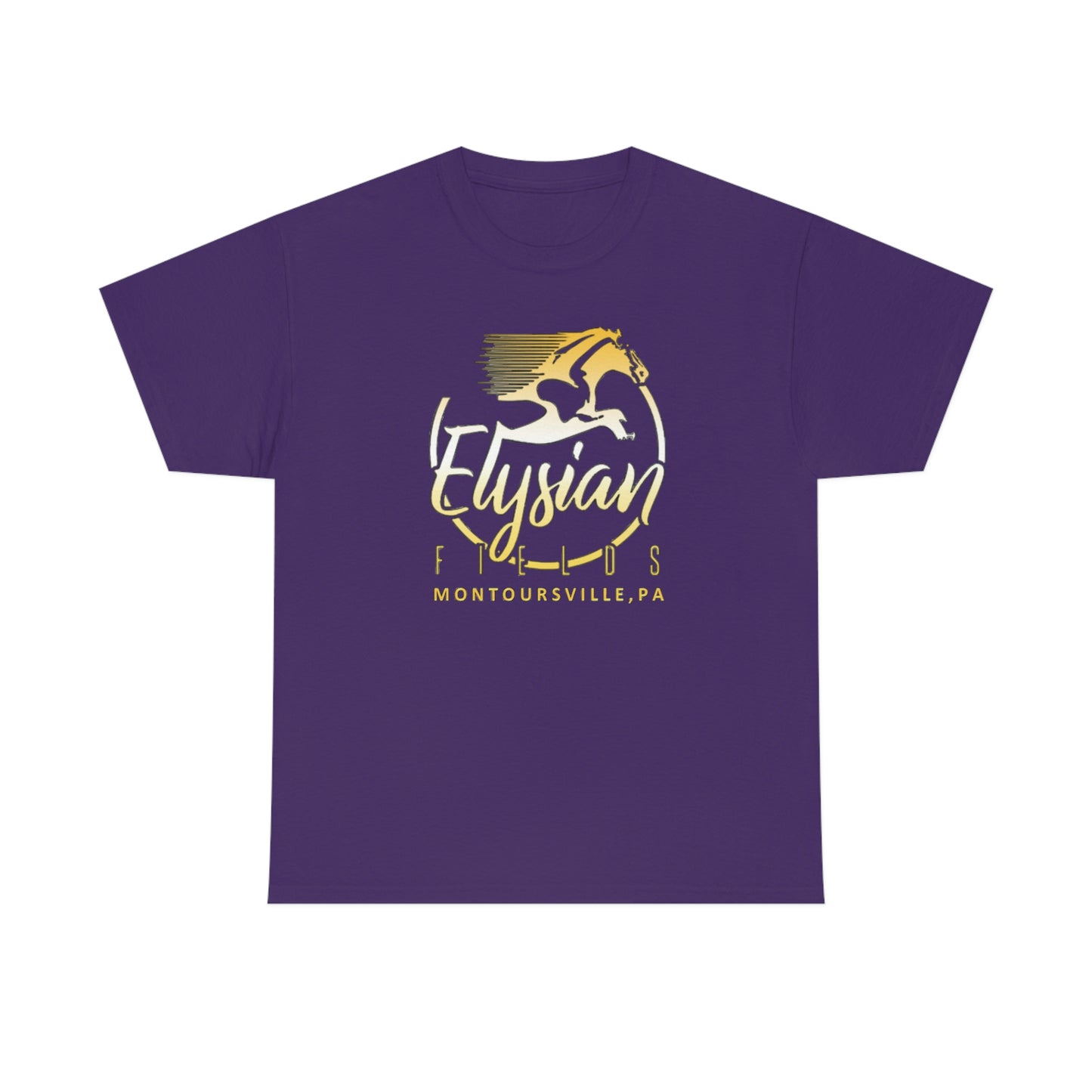 Elysian Fields - Adult Unisex Heavy Cotton Tee