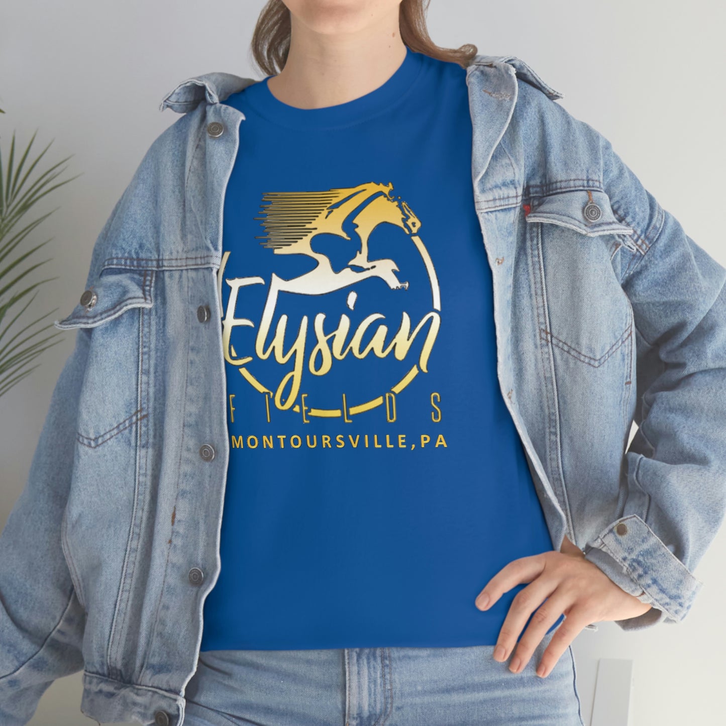 Elysian Fields - Adult Unisex Heavy Cotton Tee
