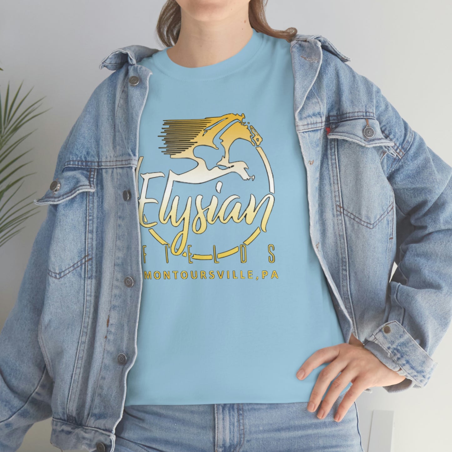 Elysian Fields - Adult Unisex Heavy Cotton Tee