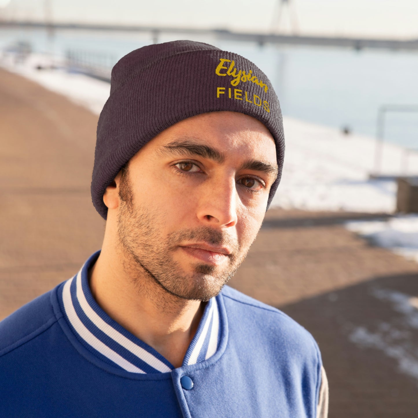 Elysian Fields - Knit Beanie