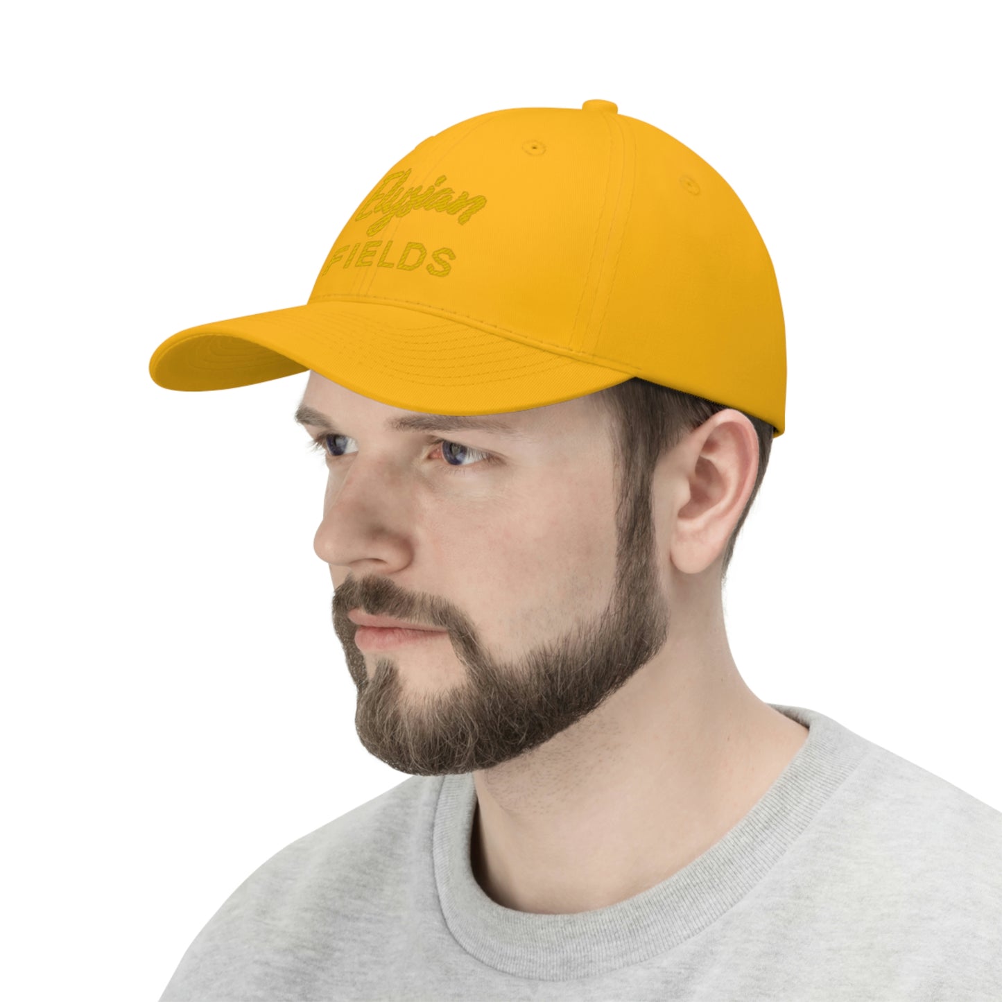 Elysian Fields - Unisex Twill Hat