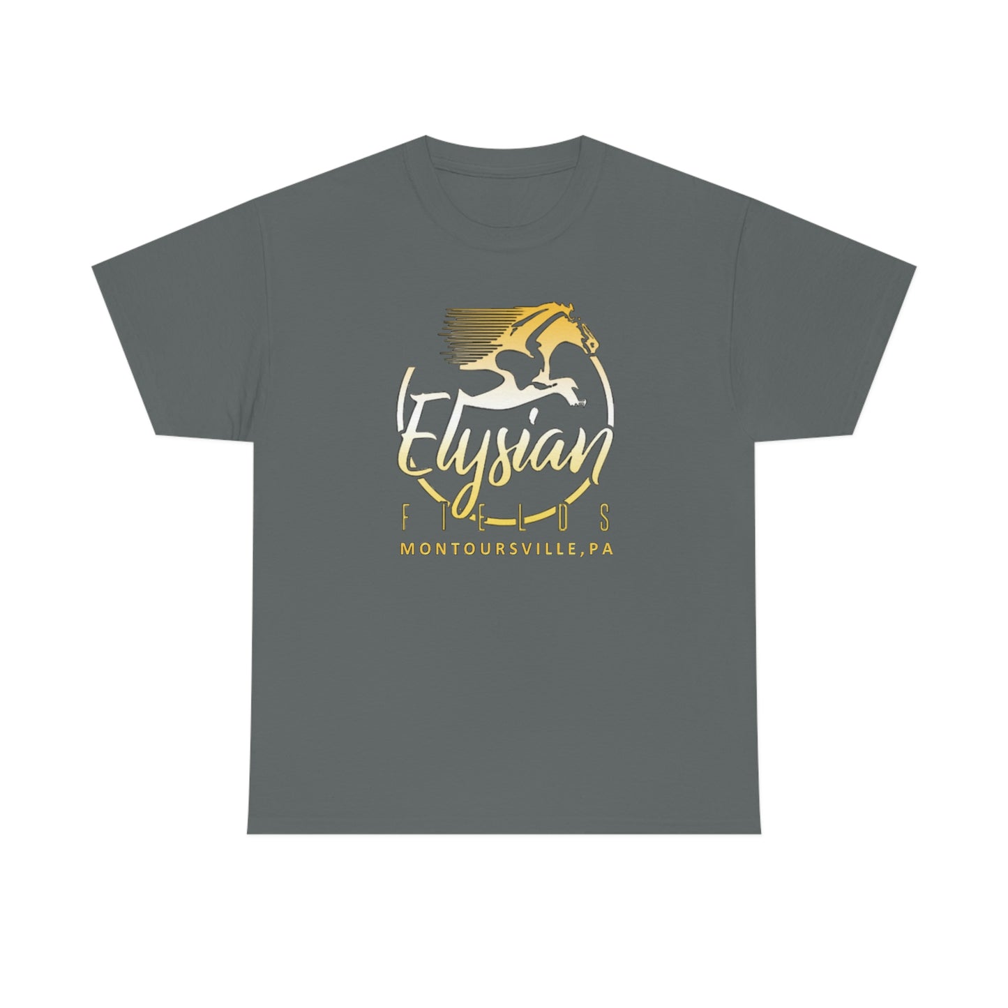 Elysian Fields - Adult Unisex Heavy Cotton Tee