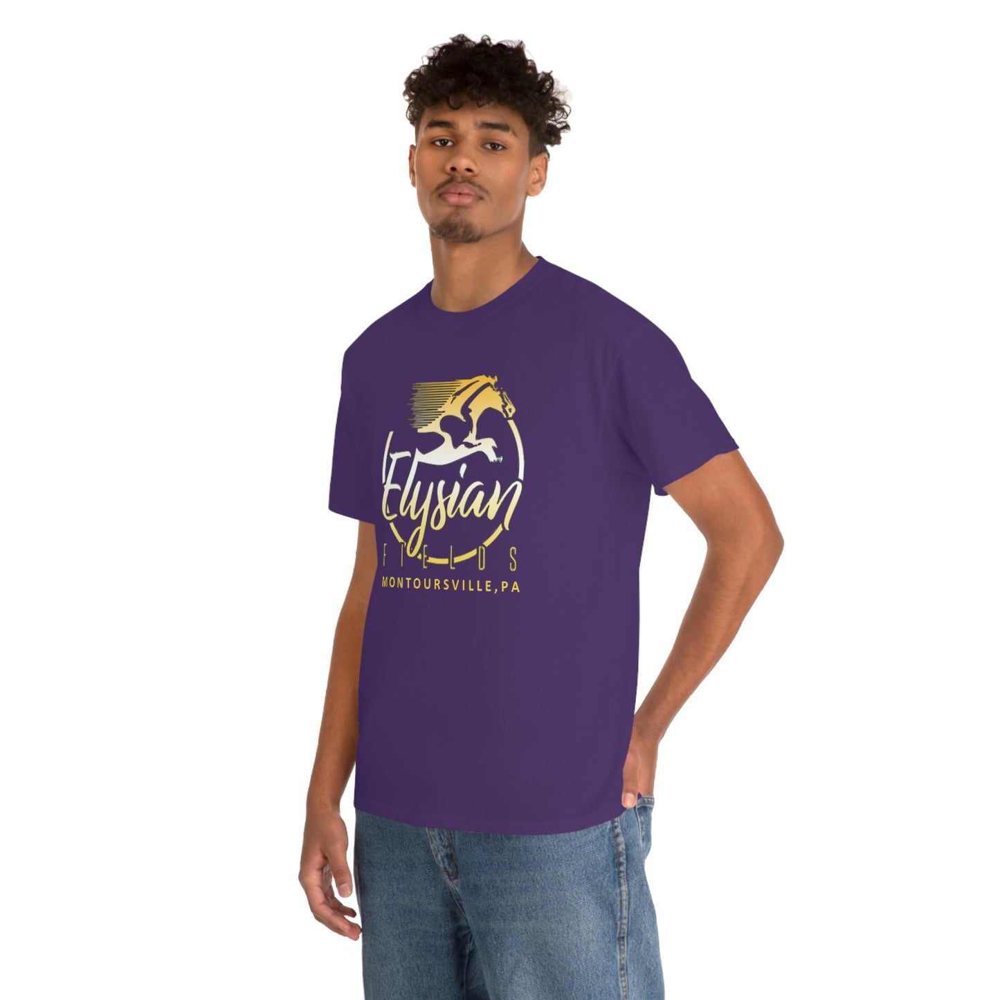 Elysian Fields - Adult Unisex Heavy Cotton Tee