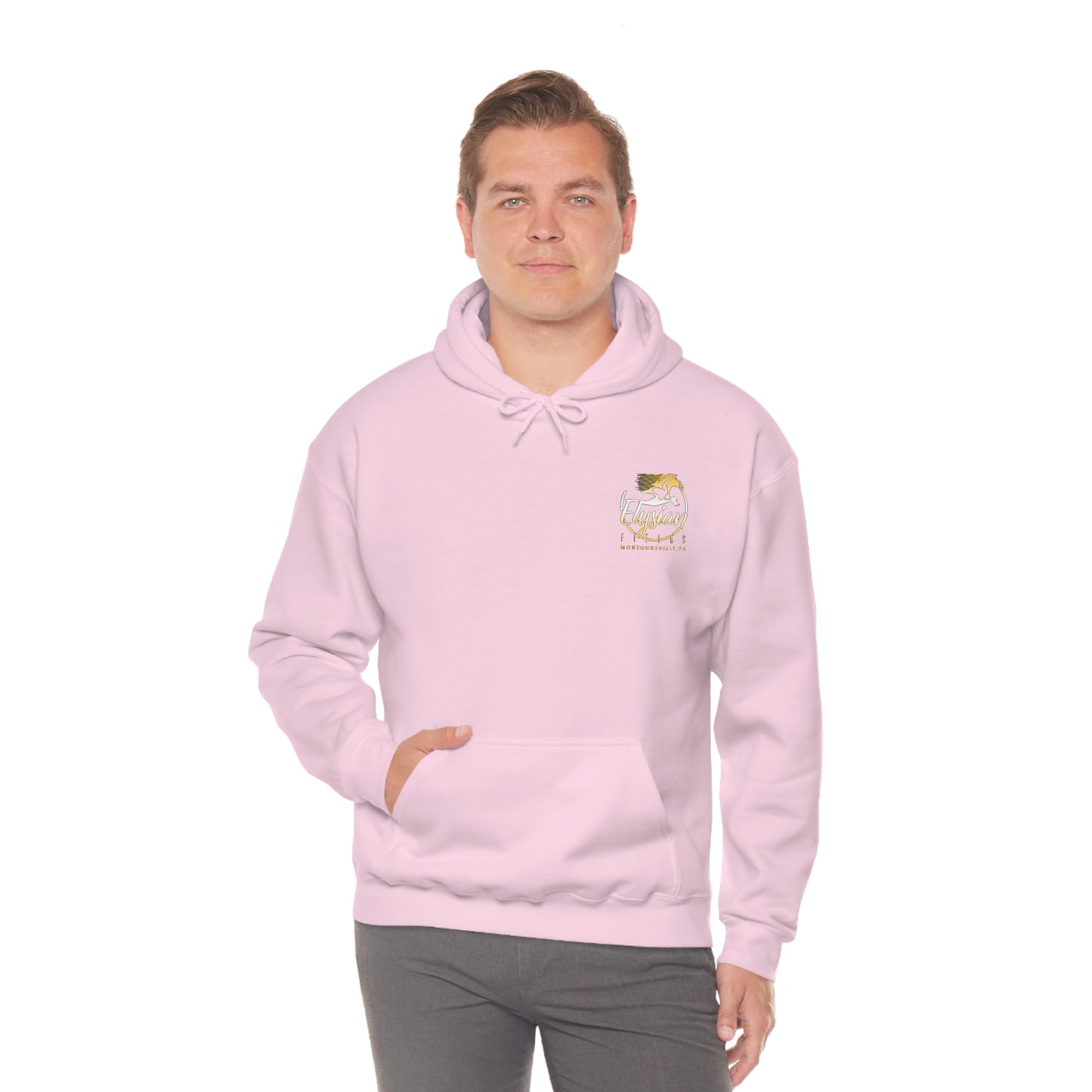 Elysian Fields - Adult Unisex Heavy Blend™ Hooded Sweatshirt - Color Logo