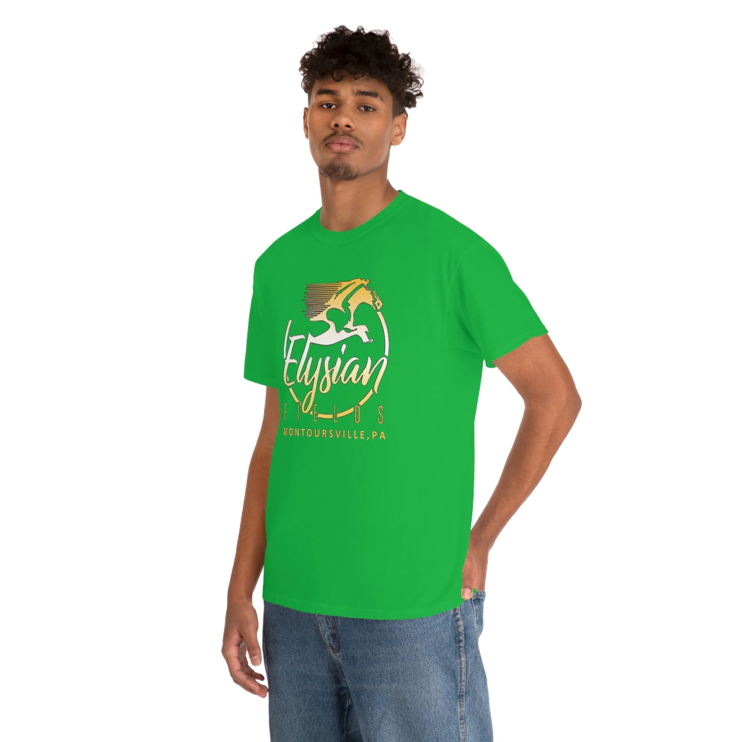 Elysian Fields - Adult Unisex Heavy Cotton Tee