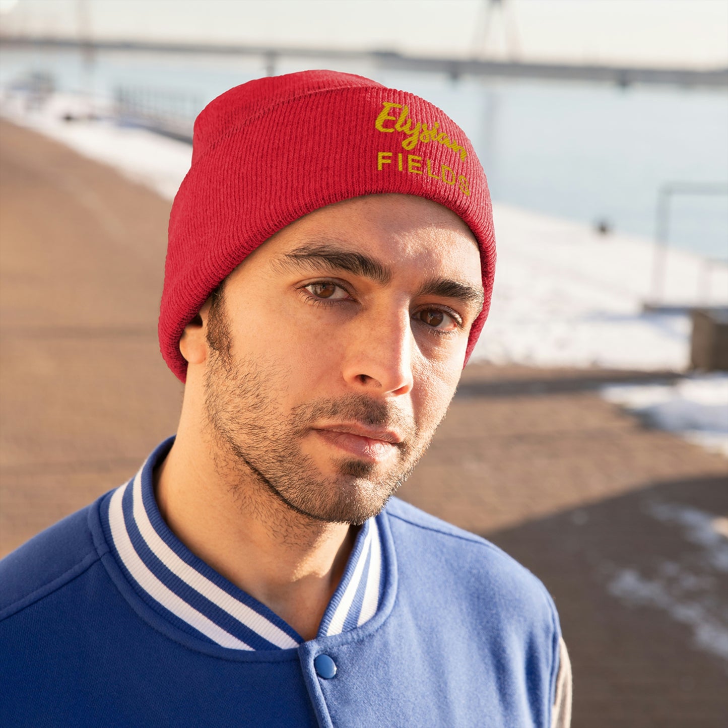 Elysian Fields - Knit Beanie