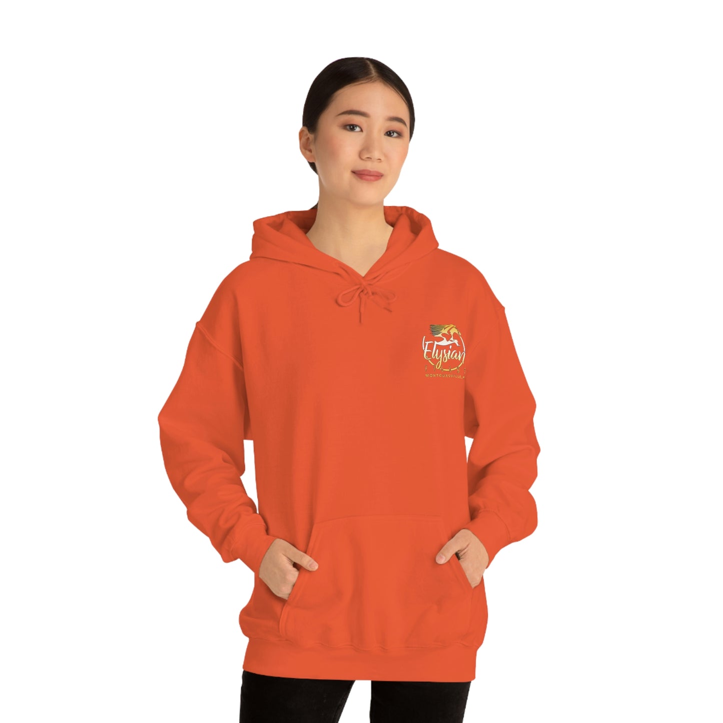 Elysian Fields - Adult Unisex Heavy Blend™ Hooded Sweatshirt - Color Logo