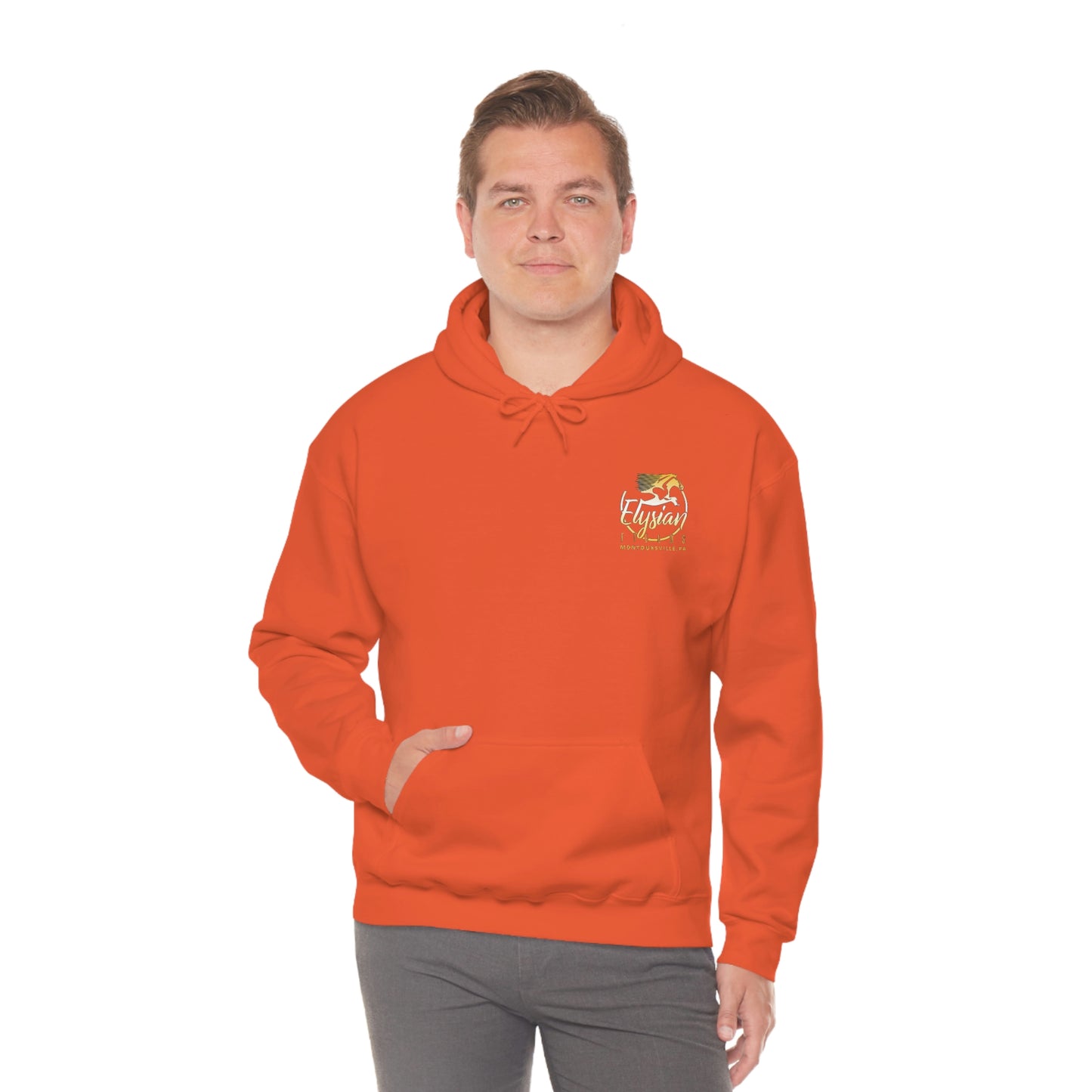 Elysian Fields - Adult Unisex Heavy Blend™ Hooded Sweatshirt - Color Logo