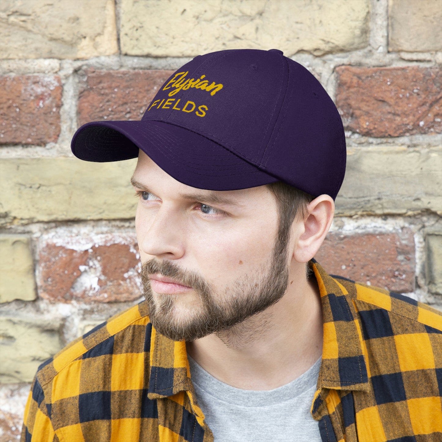 Elysian Fields - Unisex Twill Hat