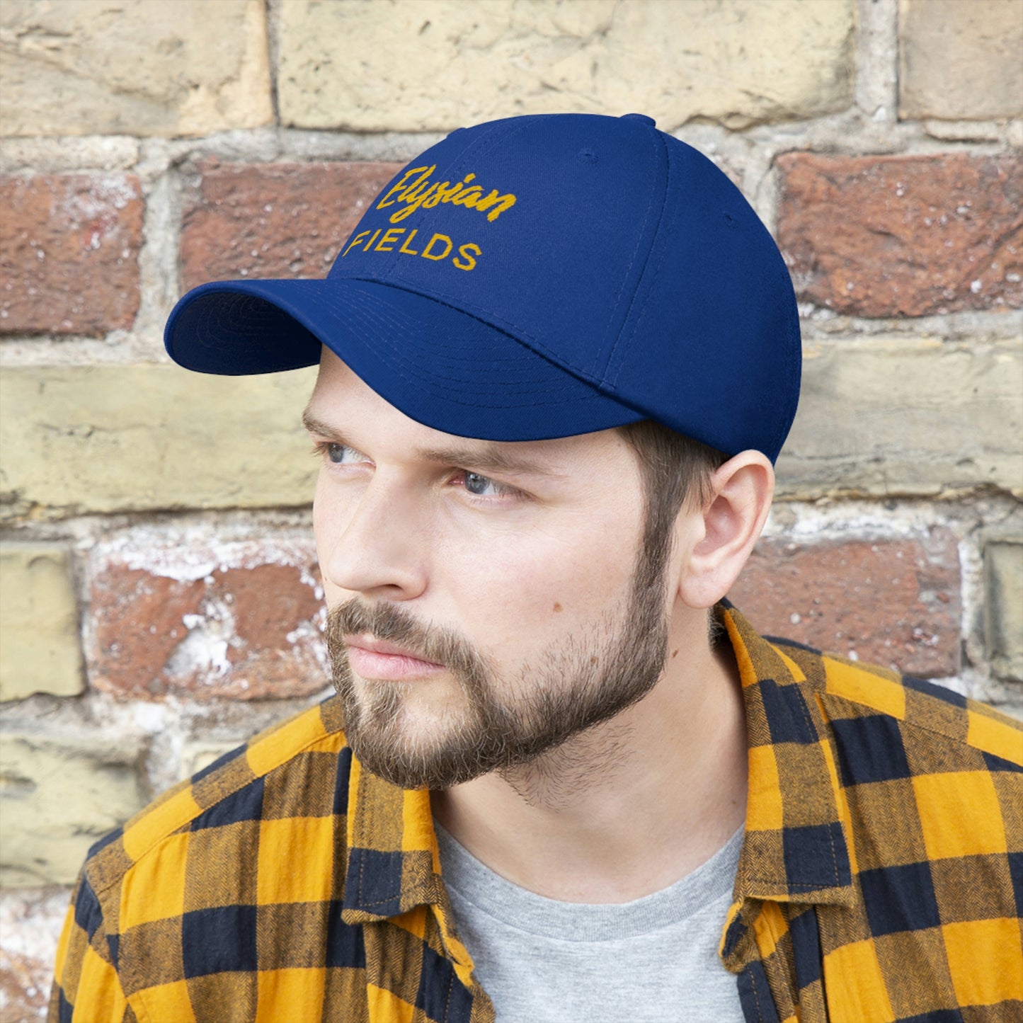 Elysian Fields - Unisex Twill Hat