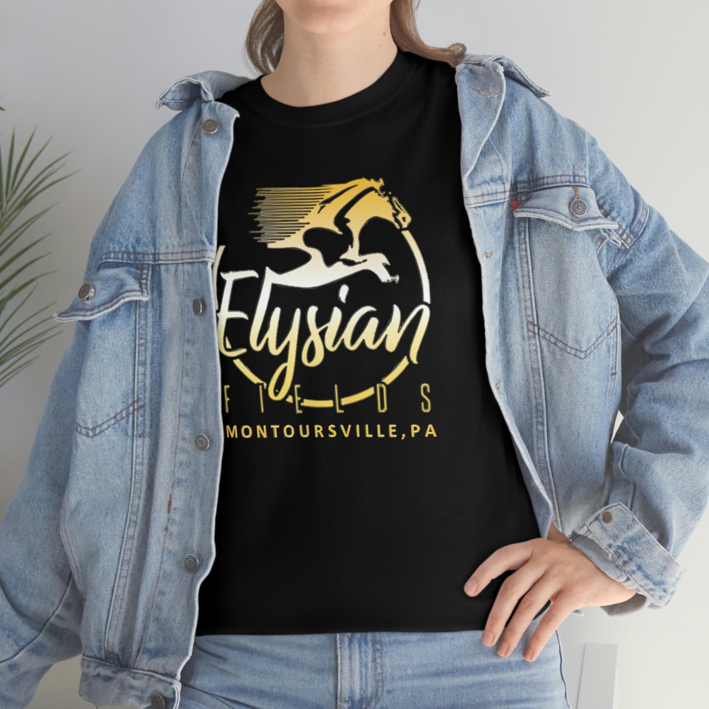 Elysian Fields - Adult Unisex Heavy Cotton Tee