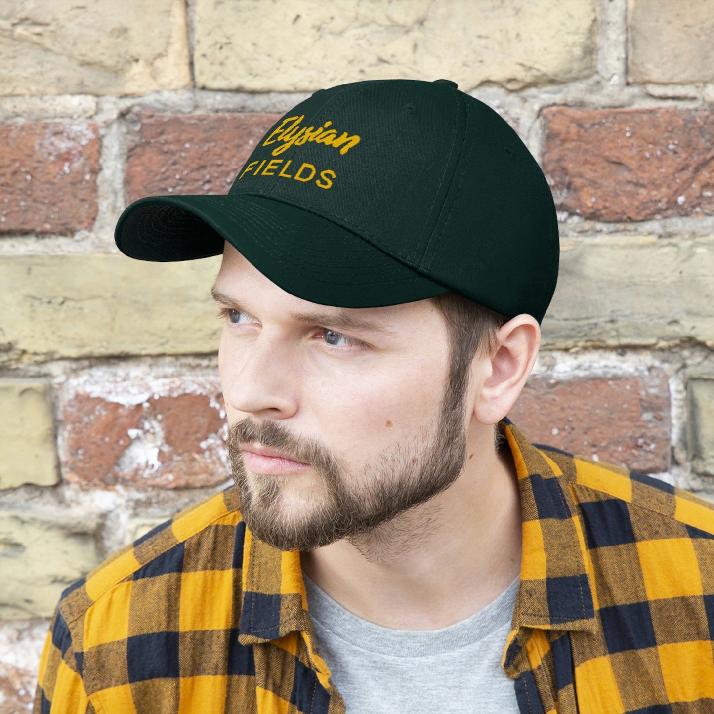 Elysian Fields - Unisex Twill Hat