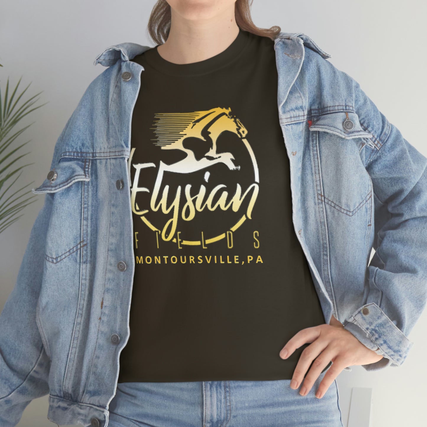 Elysian Fields - Adult Unisex Heavy Cotton Tee