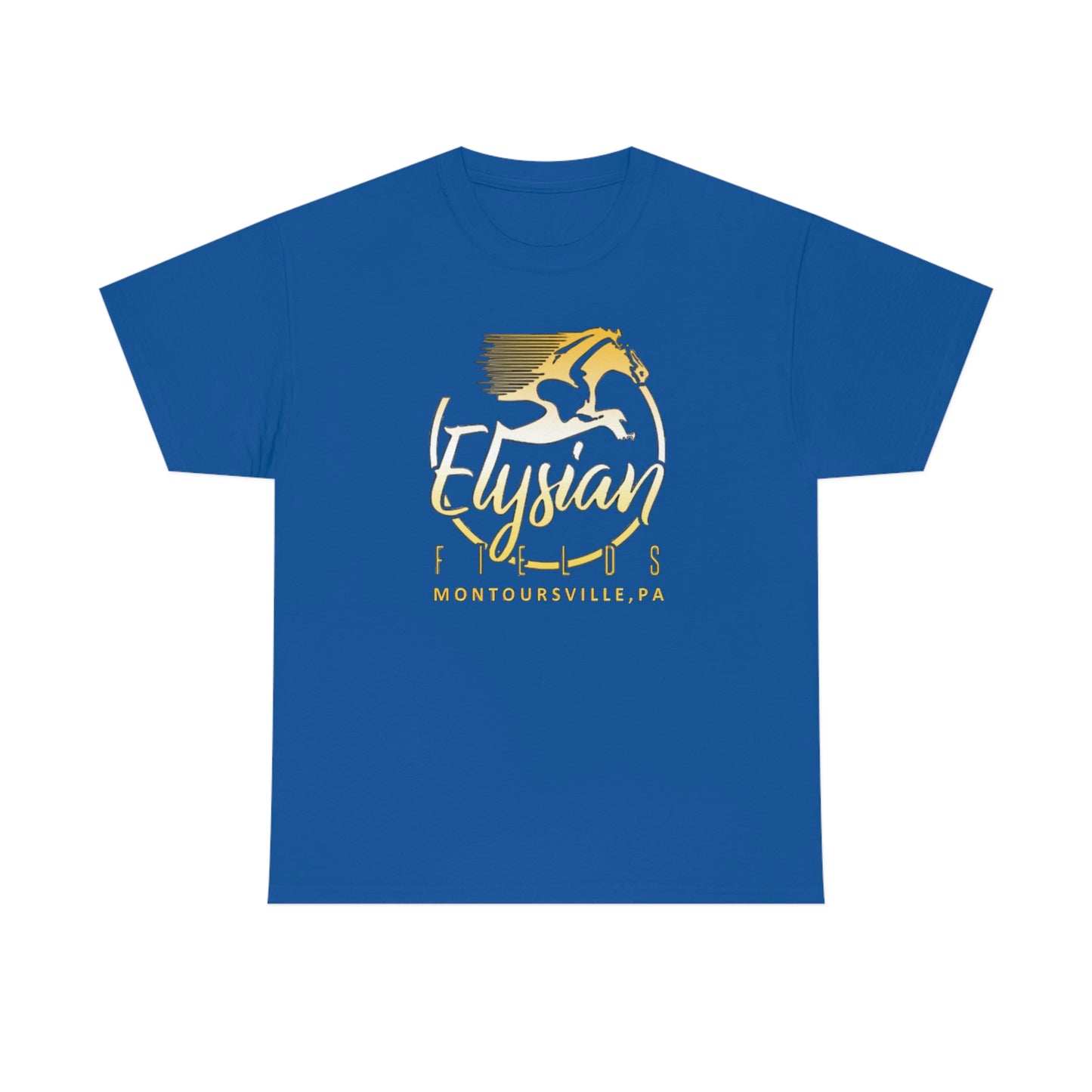 Elysian Fields - Adult Unisex Heavy Cotton Tee