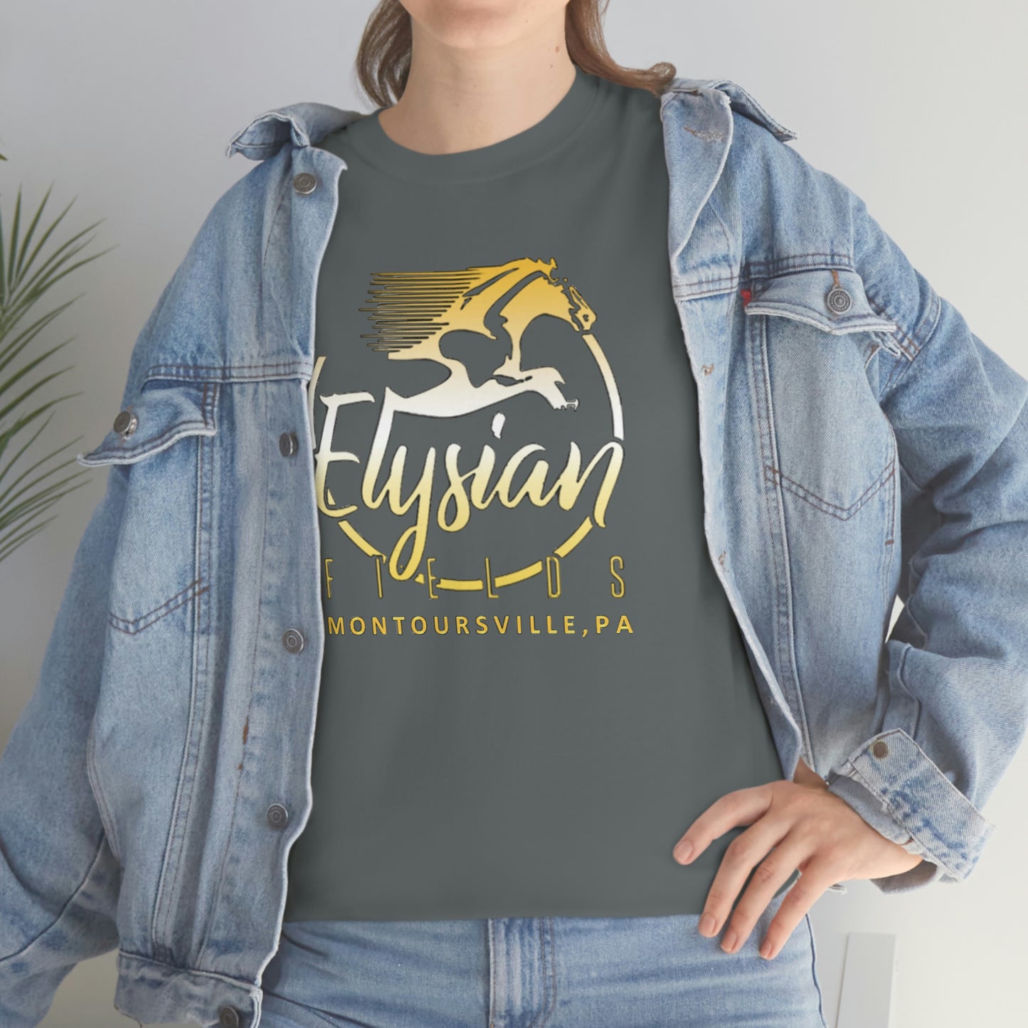 Elysian Fields - Adult Unisex Heavy Cotton Tee