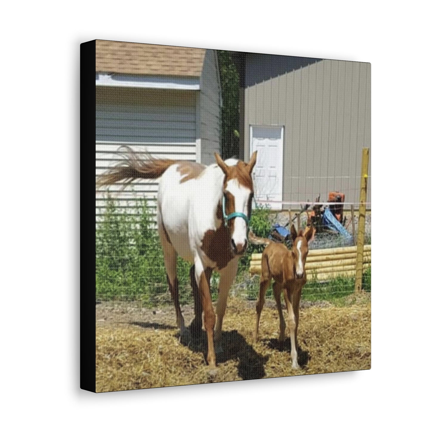 Canvas Gallery Wrap - Takota and Mommy - Photo