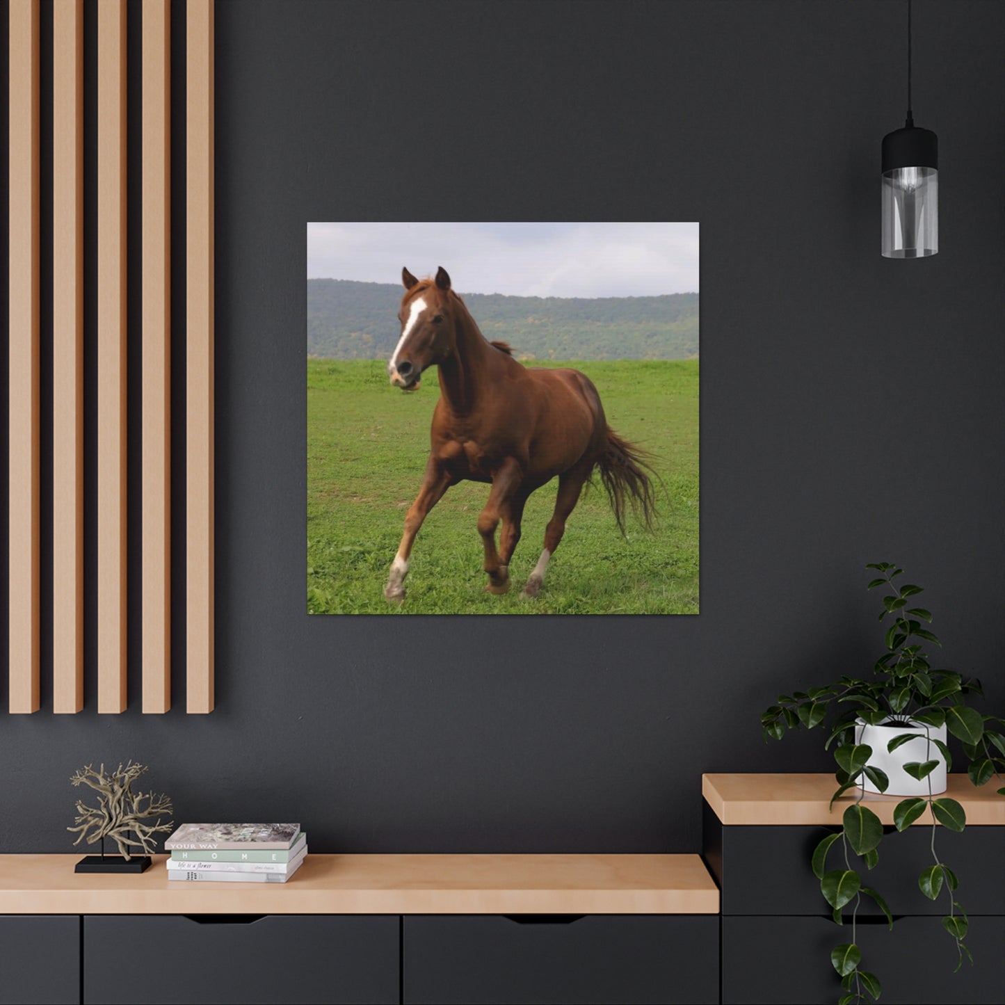 Canvas Gallery Wrap - Redwood - Photo