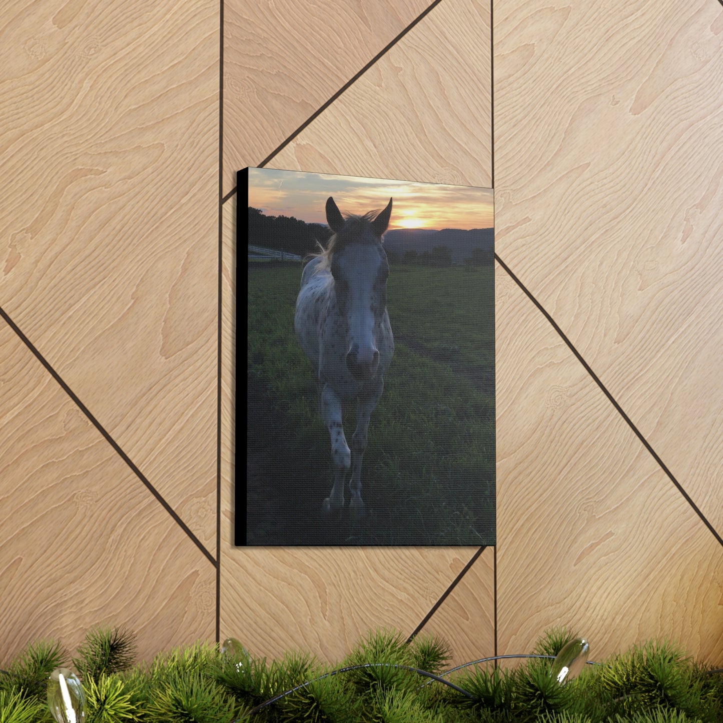 Canvas Gallery Wrap - Cochise - Photo