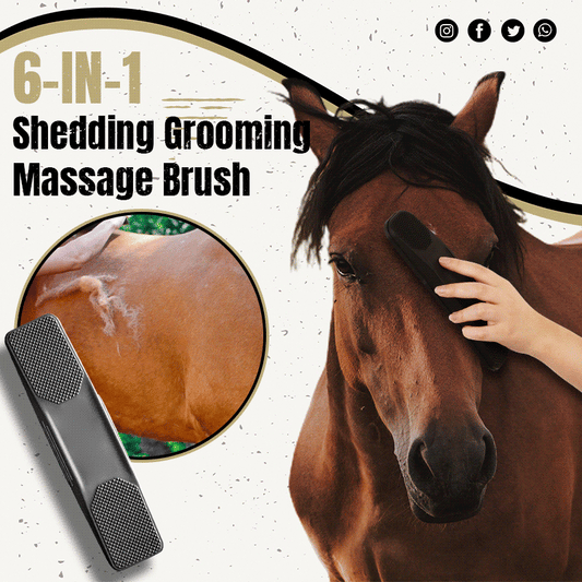 6-in-1 Horse Brush, Hair Removal, Massage Brush, Sweat Cleaning, Scrubber Kit, Horse Grooming, Equestrian Shedding Tool